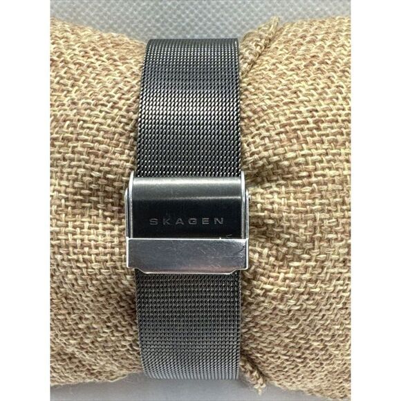 Skagen SKW2120 Women's Gray Stainless Steel Mesh Analog Dial Quartz Watch JNA907 - Picture 4 of 11